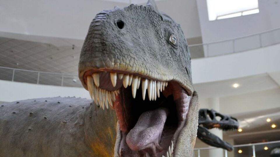 Türkiye'nin Jurassic Park'ı nerede?