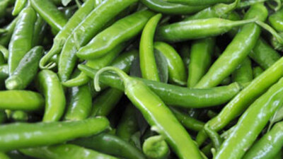 Yaramazlık yapmak serbest!