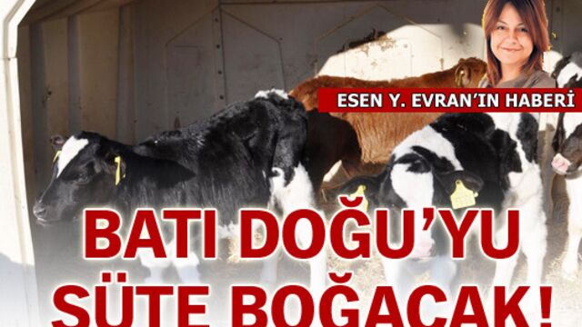 Batının en büyüğü Doğu'yu süte boğacak!