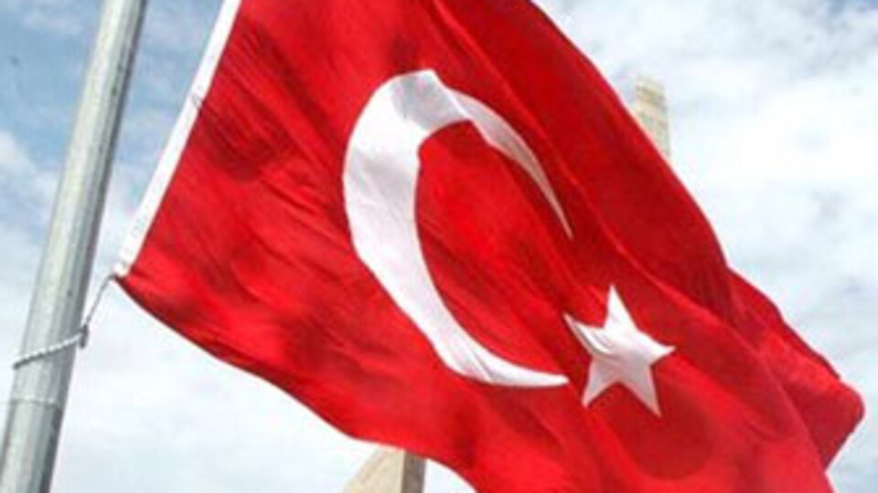 100 Türk neye bedel?