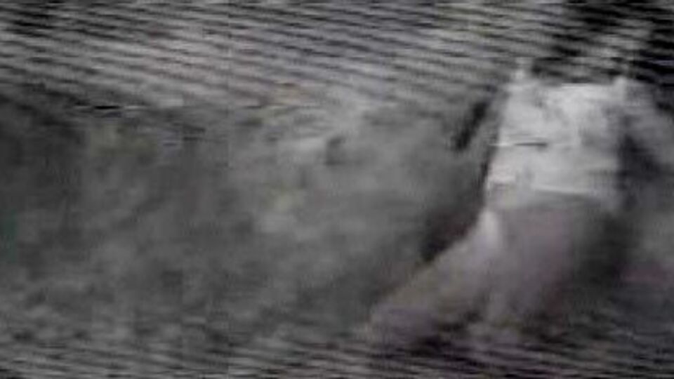 Ünlü mankenin ölüm anı!