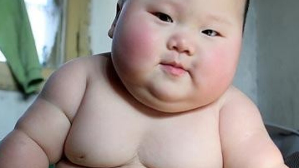 Sanal beslenme okulu açılıyor!