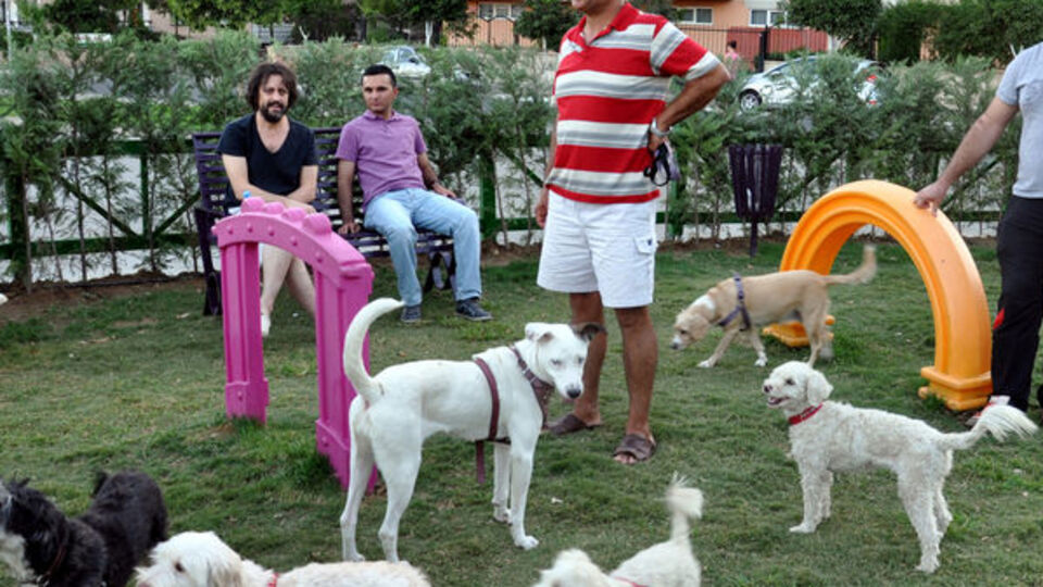 Hayvan beslemek suç mu oluyor?