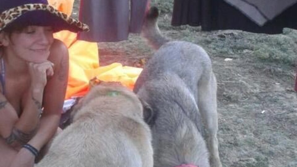 Köpeğini yılan soktu!