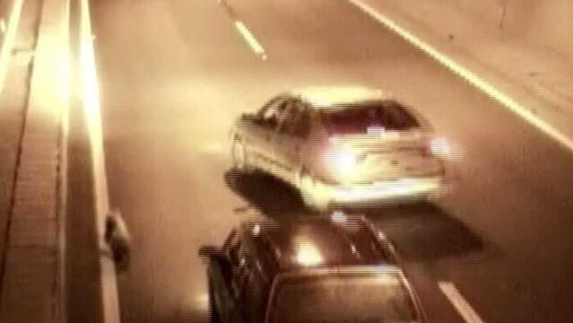 Davetsiz misafirler trafiği karıştırdı
