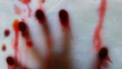 Gebze'de feci ölüm