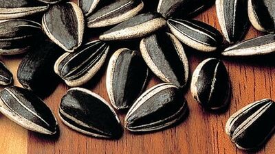 Çekirdek kolesterolü azaltıyor