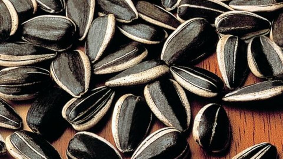 Çekirdek kolesterolü azaltıyor