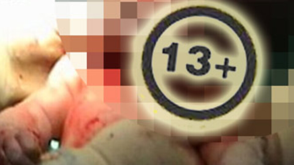 İnsanlığı sarsan olay!