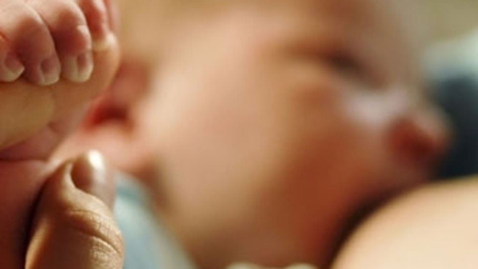 İşte anne sütünü artıran 6 altın öneri