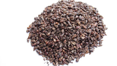 "Üzüm çekirdeği şifa kaynağı"