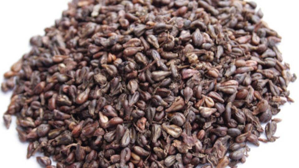 "Üzüm çekirdeği şifa kaynağı"