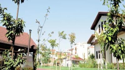 Kestane Bahçesi meyve verdi!