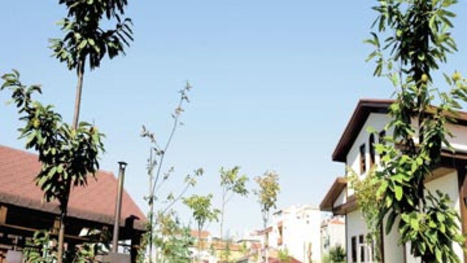 Kestane Bahçesi meyve verdi!