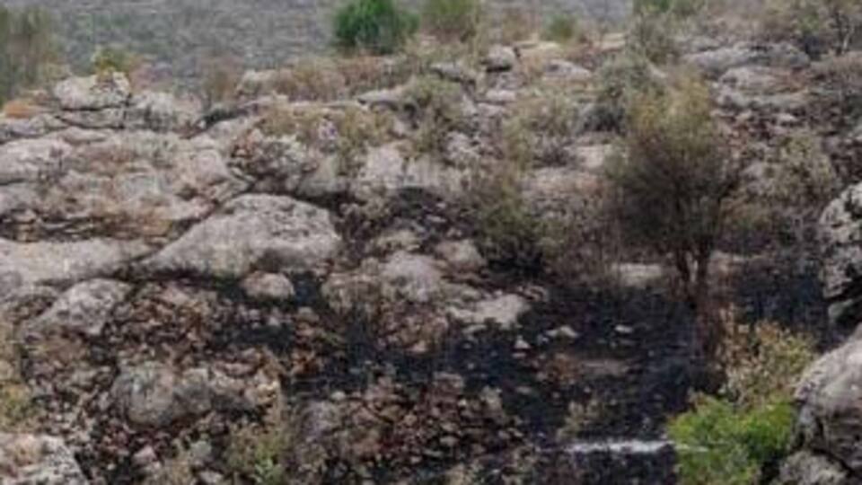 13 şehit verdiğimiz saldırıda şok iddialar!