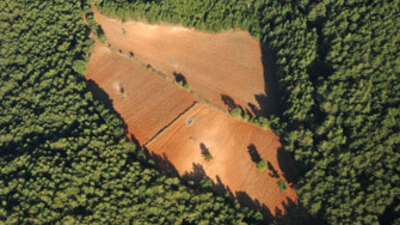 50 bin 2B başvurusu!