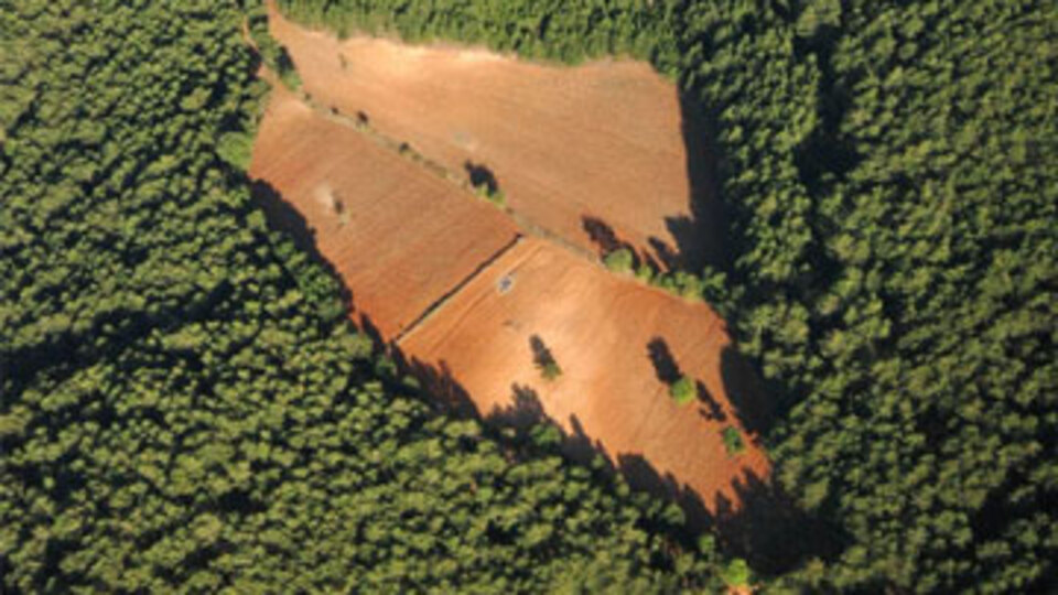 50 bin 2B başvurusu!