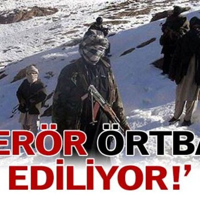 'Terör örtbas ediliyor'