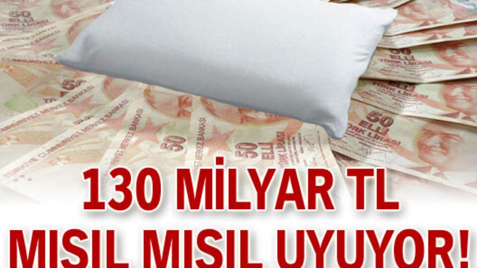130 milyar TL mışıl mışıl uyuyor!