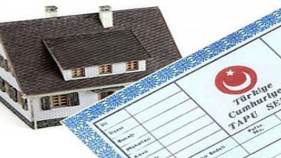 Türk filmi gibi 'miras davası'