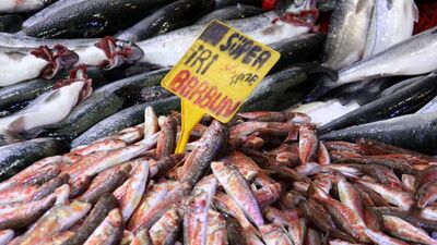 Ölümcül balıklar!