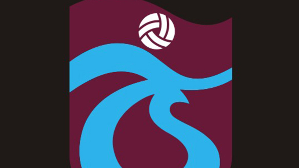 İrlanda'ya dostluk köprüsü