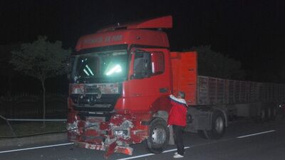 Köpeği ezmemek için kaza yaptı