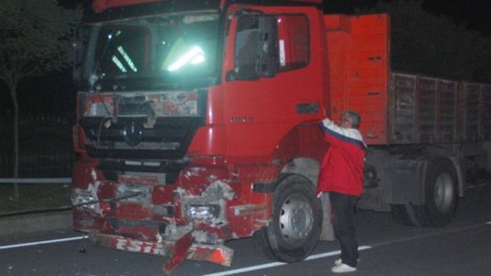 Köpeği ezmemek için kaza yaptı