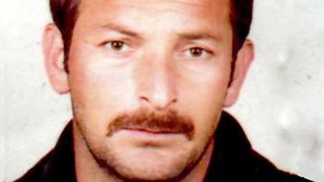 Ormanda sürek avı