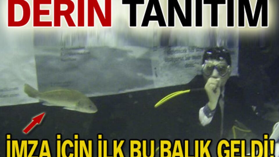 Derin tanıtım!