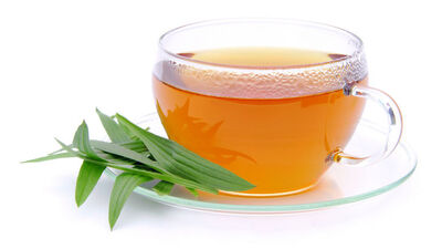 Bitki çayını nasıl içiyorsunuz?