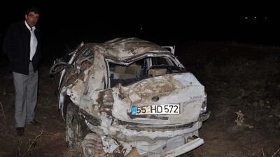 Başıboş eşekler kazaya yol açtı