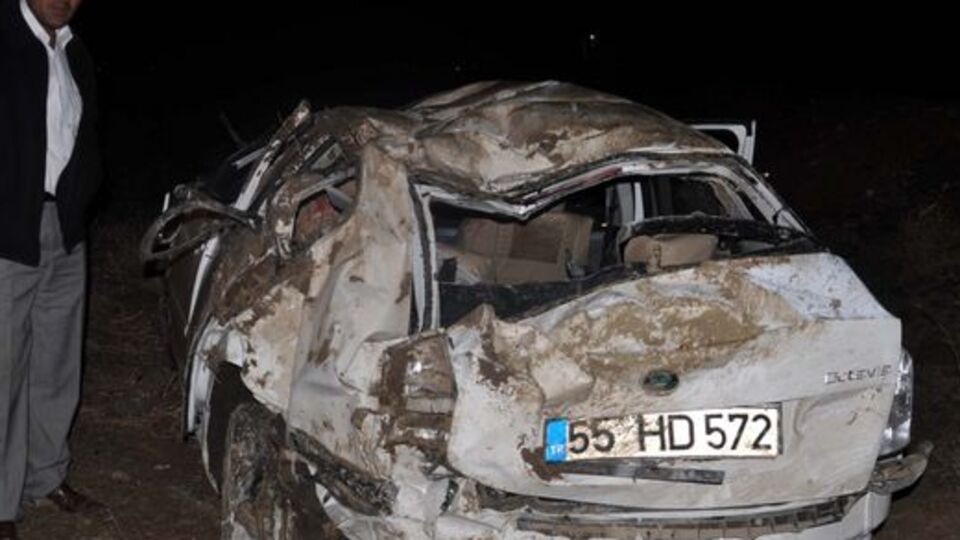 Başıboş eşekler kazaya yol açtı