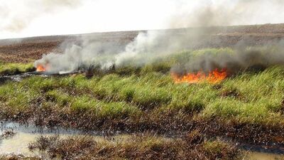 Teröristler BOTAŞ'a saldırdı