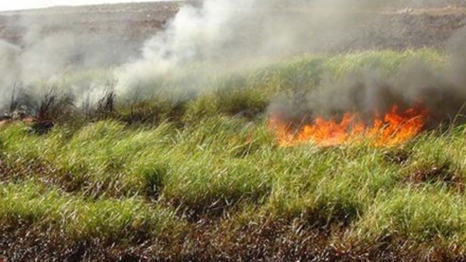 Teröristler BOTAŞ'a saldırdı