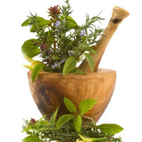 Hangi kansere hangi bitki?