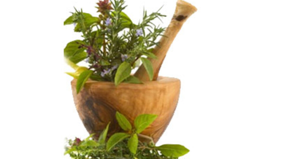 Hangi kansere hangi bitki?