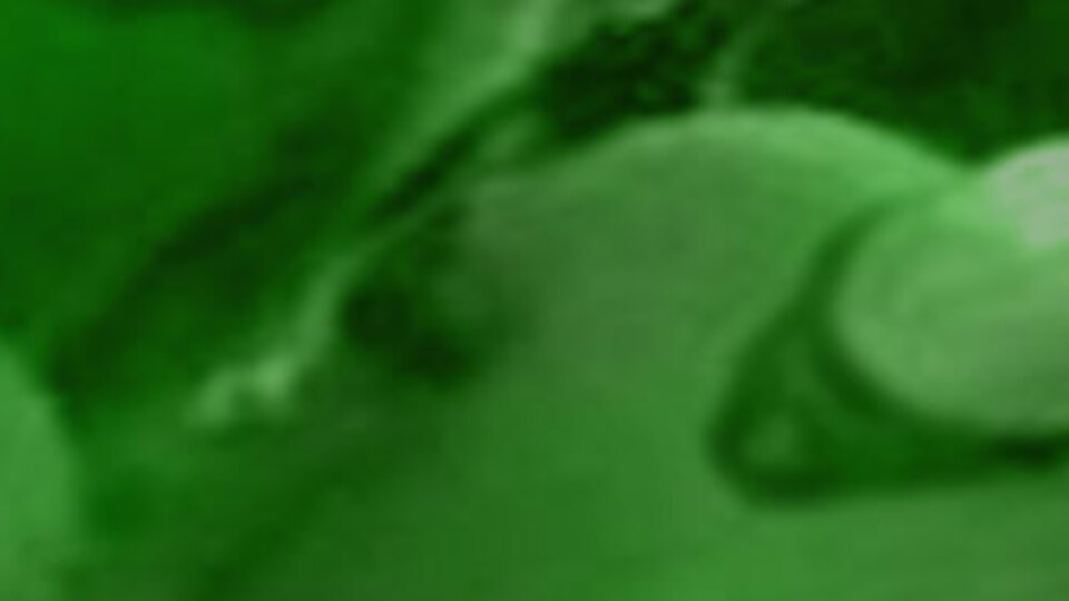 "İlişkiye girersek büyü bozulur!"