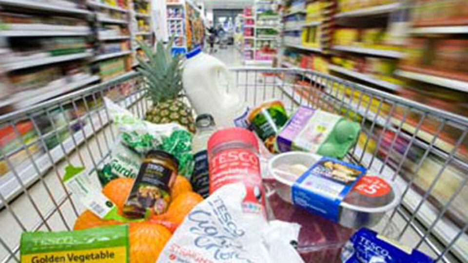 Türkiye'de Uyum'lu büyüyecek!