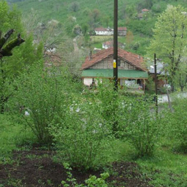 Beykoz'da 99, Ümraniye'de 97!
