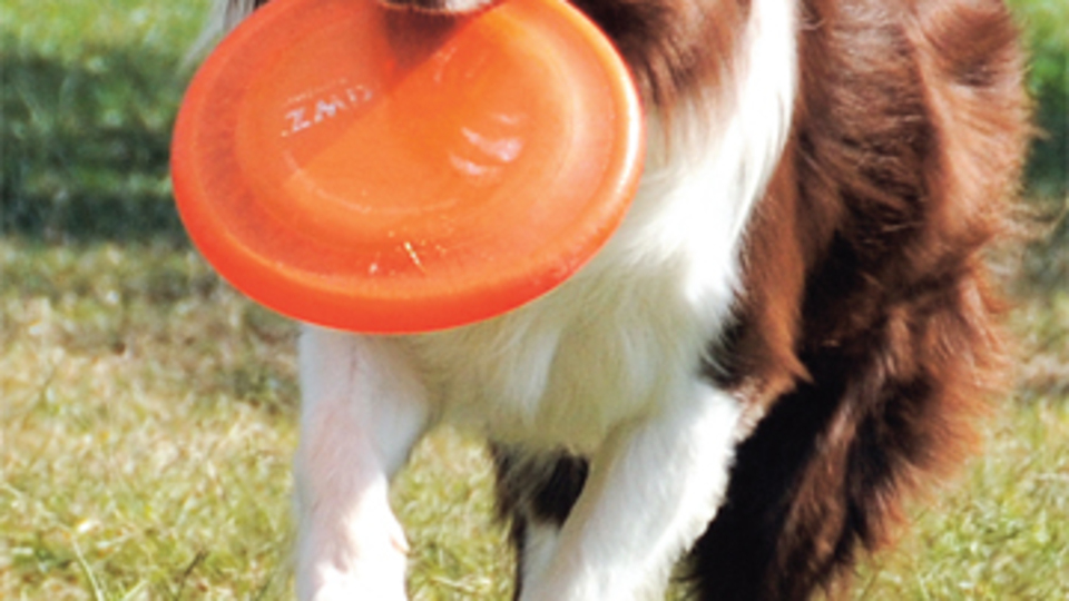 Max'ten duygusal sahneler