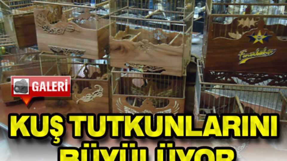 Kuş tutkunlarını büyülüyor