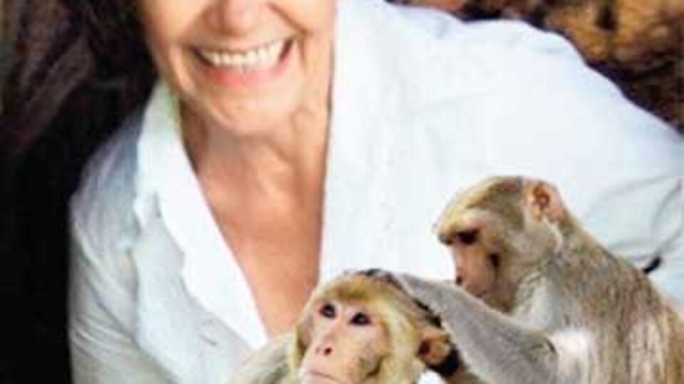 Marina'ya beş yıl maymunlar baktı