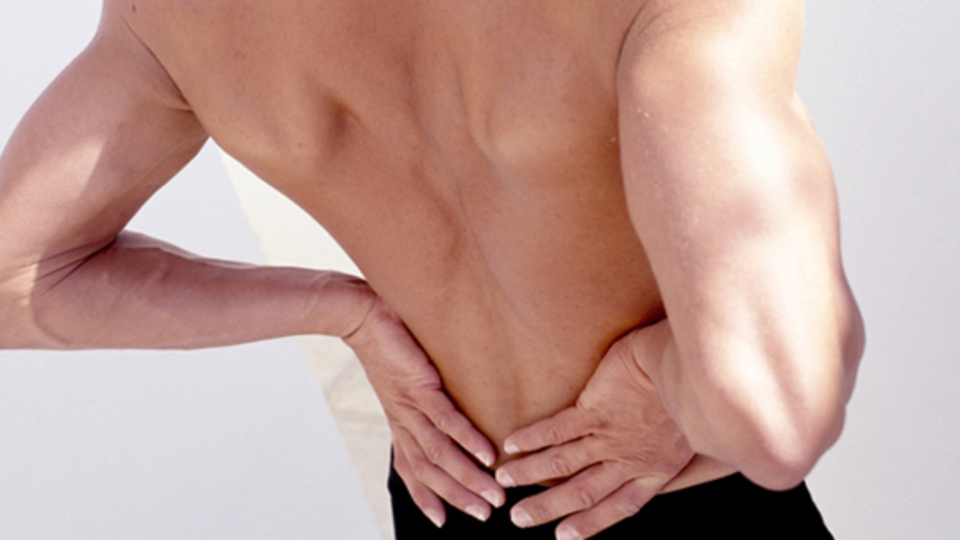 İşte taş üreten organlar!