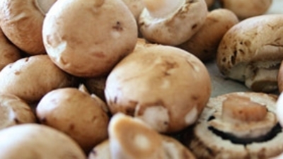 Mantar değil 'bilgisizlik' öldürüyor!