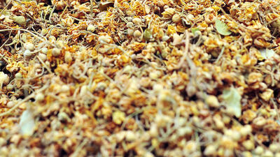 Aktardaki ıhlamur riskli çıktı!