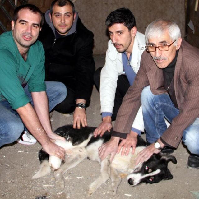 "Yapabilecek bir şey yok"