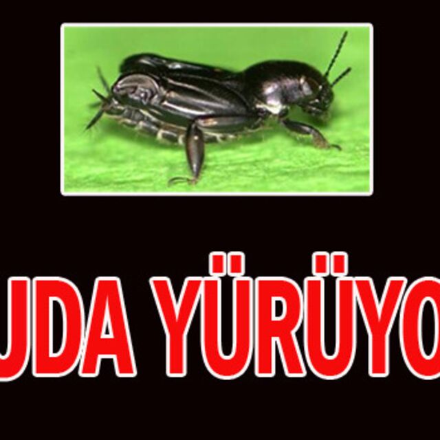 Suda yürüyor!