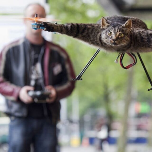 Yılın fotoğrafları
