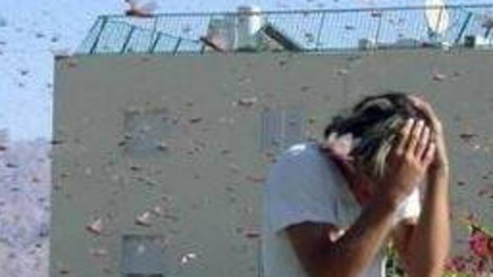 Madagaskar'ı çekirgeler istila etti